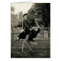 Montar a caballo 1910 de la avestruz felicitaciones