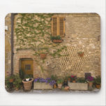 Montefollonico, d'Orcia de Val, provincia de Siena Alfombrillas De Ratones