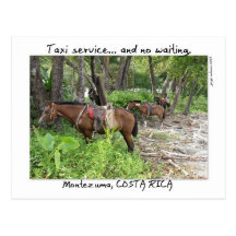 Montezuma, Costa Rica Tarjeta Postal