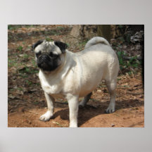 Monty el poster del barro amasado