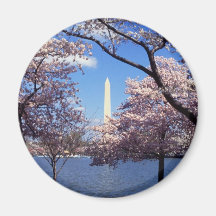 Monumento de Washington a través de las flores de  Iman De Nevera