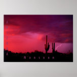 Monzón de Arizona Poster