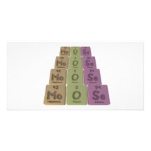 Moose-Mo-O-Se-Molybdenum-Oxygen-Selenium.png Tarjetas Fotograficas Personalizadas