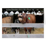 MOOving encendido Tarjeta