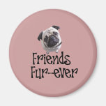 Mops "Friends Fur-ever" Kühlschrankmagnete