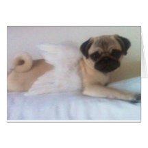Mops mi Flügel Karte