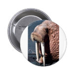 Morsa Pin