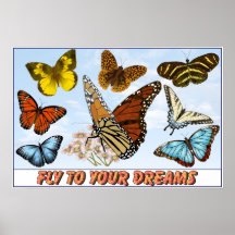Mosca a sus sueños posters