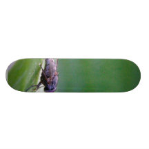 Mosca de la casa en una hoja del plátano patines personalizados