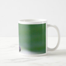 Mosca de la casa en una hoja del plátano tazas de café
