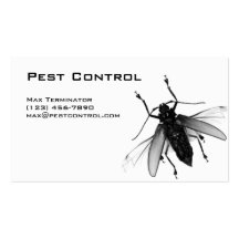 Mosca de la tarjeta de visita del control de parás