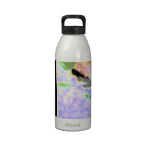 Mosca del dragón botallas de agua