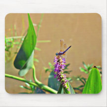 Mosca del dragón en Mousepad azul