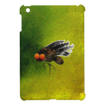 Mosca oscura