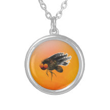 Mosca oscura pendiente personalizado