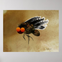 Mosca oscura posters