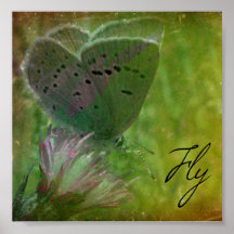 Mosca Impresiones