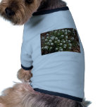 Mostaza salvaje camisa de perro