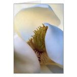 Mother's_Day_Card_Southern_Magnolia_Flower Felicitación