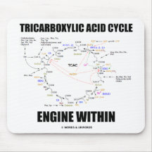 Motor del ciclo de ácido tricarboxílico dentro del tapete de ratón