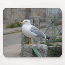 Mouse Pad Seagull. Gaviota
