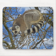 mousemat Anillo-atado del lemur Alfombrilla De Ratones