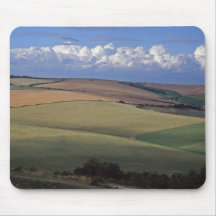 Mousemat del sur de los plumones alfombrilla de raton