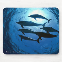 Mousepad 14 - Delfínes