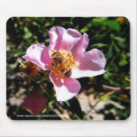 Mousepad - abeja en un color de rosa salvaje alfombrillas de raton 