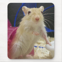Mousepad Alfombrilla De Raton