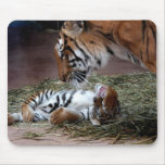 Mousepad Alfombrilla De Raton