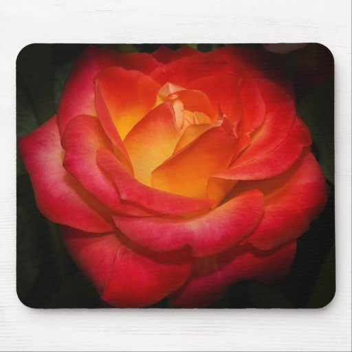 Mousepad color de rosa llameante alfombrillas de ratones