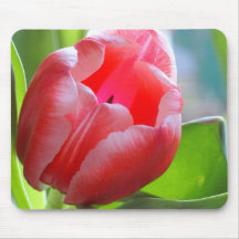 Mousepad con el tulipán tapete de raton