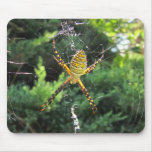 Mousepad congregado del ~ de la araña de jardín alfombrillas de ratones