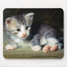 mousepad - coon de Maine Tapete De Raton