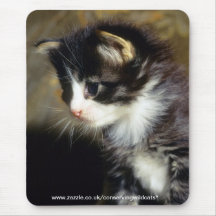mousepad - coon de Maine Tapetes De Raton