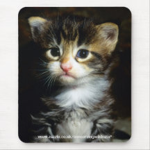 mousepad - coon de Maine Tapetes De Ratones
