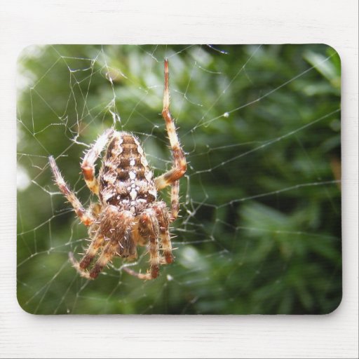Mousepad cruzado del ~ de la araña 132 tapete de raton