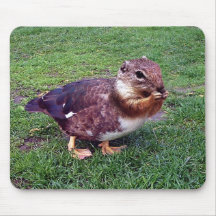 Mousepad de Chipduck Tapetes De Raton