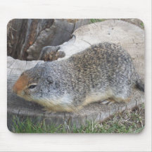 Mousepad de Groundhog Tapetes De Raton