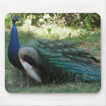 Mousepad de la belleza de Peacok Alfombrilla De Ratón