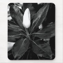 Mousepad de la magnolia alfombrillas de raton