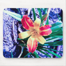 Mousepad de Lilly Tapete De Raton