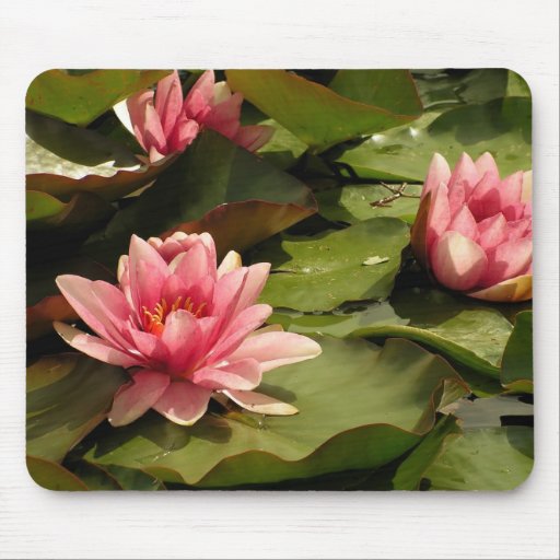 Mousepad de los lirios de agua