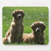 Mousepad de los perros perdigueros de oro alfombrillas de raton 