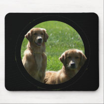 mousepad de los perros perdigueros de oro alfombrillas de raton 