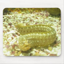 Mousepad del animal de mar tapete de ratones