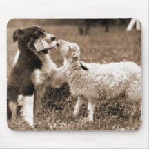 ~Mousepad del "border collie y del cordero "