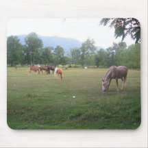 Mousepad del caballo alfombrilla de raton