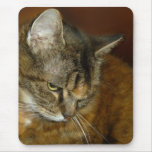 Mousepad del coon 3 de Maine Alfombrillas De Ratón